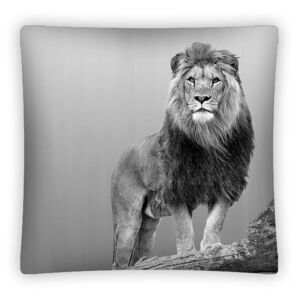 Dětský dekorační povlak na polštářek s lvem