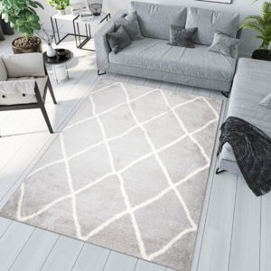 Moderní koberec s jemným vzorem