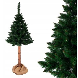 Nádherně hustá vánoční borovice na pařezu 150 cm