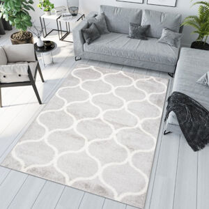 Stylový koberec s jednoduchým vzorem