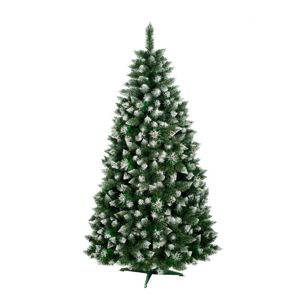 Vánoční stromek velmi hustá borovice kuželovitého tvaru